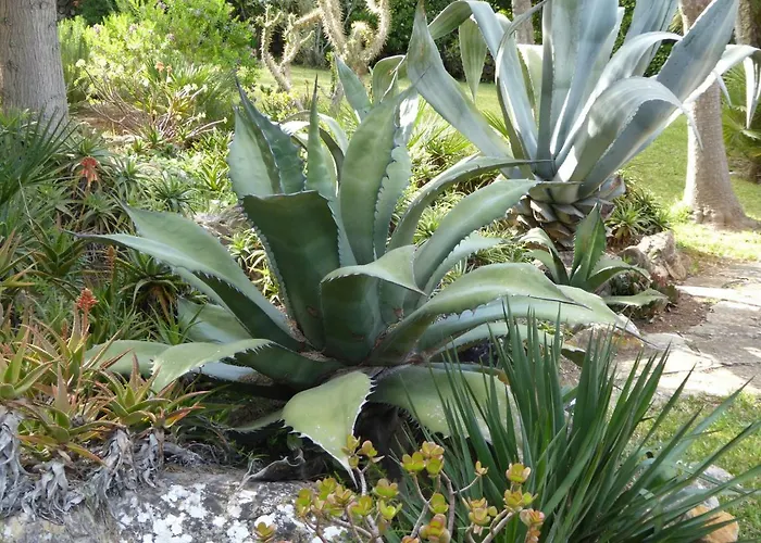 Casa vacanze Cas Quinto