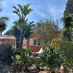 Cas Quinto * Cala Ratjada (Mallorca)