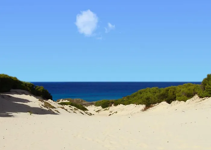 Cas Quinto Tatil Evi Cala Ratjada (Mallorca)