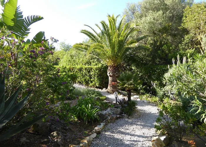 Tatil Evi Cas Quinto Cala Ratjada (Mallorca)