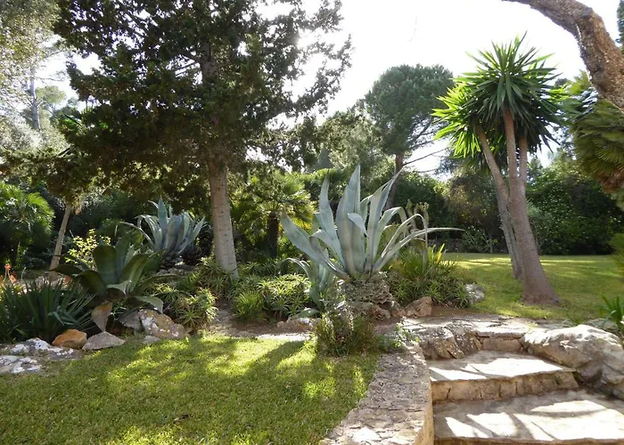 Tatil Evi Cas Quinto