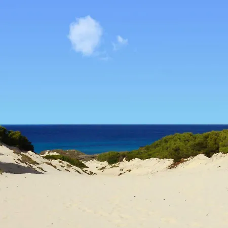 Cas Quinto Ferienhaus Cala Ratjada (Mallorca)