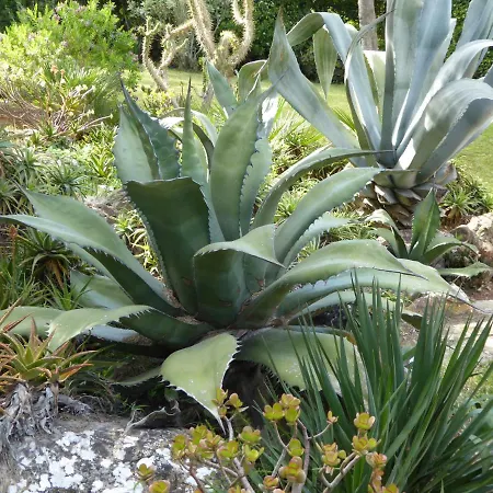 Ferienhaus Cas Quinto